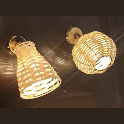  &Phi;&omega;&tau;&omicron;&gamma;&rho;&alpha;&phi;ί&alpha; &mu;&iota;&alpha; &alpha;&pi;&lambda;ί&kappa;&alpha;&sigmaf; &alpha;&pi;ό &mu;&pi;&alpha;&mu;&pi;&omicron;ύ, &mu;&epsilon; &kappa;&omega;&delta;&iota;&kappa;ό &Alpha;&Pi;&Lambda;/22/6, &kappa;&alpha;&iota; &mu;ί&alpha;&sigmaf; &alpha;&pi;ό &rho;&alpha;&tau;ά&nu;, &mu;&epsilon; &kappa;&omega;&delta;&iota;&kappa;ό &Alpha;&Pi;&Lambda;/22/7, &alpha;&pi;ό &tau;&eta;&nu; &beta;&iota;&omicron;&tau;&epsilon;&chi;&nu;ί&alpha; &alpha;&mu;&pi;&alpha;&zeta;&omicron;ύ&rho; &kappa;&alpha;&iota; &phi;&omega;&tau;&iota;&sigma;&tau;&iota;&kappa;ώ&nu; Gekas Luminoso.