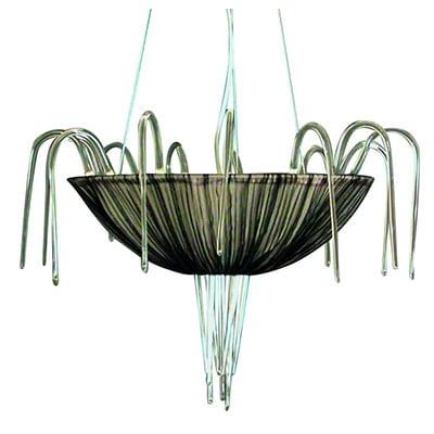 Webp.net Resizeimage 2021 01 21t175739.034