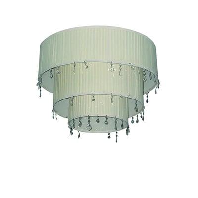 Webp.net Resizeimage 33