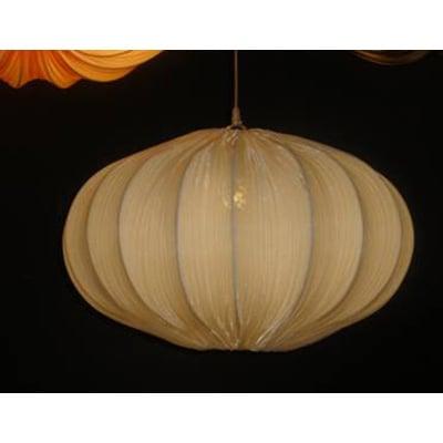 Webp.net Resizeimage 6